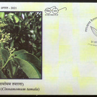 India 2021 Uttarakhand Tejpatta Plant Spices Special Cover # 6849