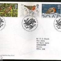 Great Britain 1995 Christmas Festival Birds Robin in winter scene 5v FDC # F70