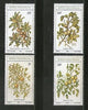 Bophuthatswana 1980 Edible Wild Fruits Trees Plants Flora Sc 56-59 MNH # 4273